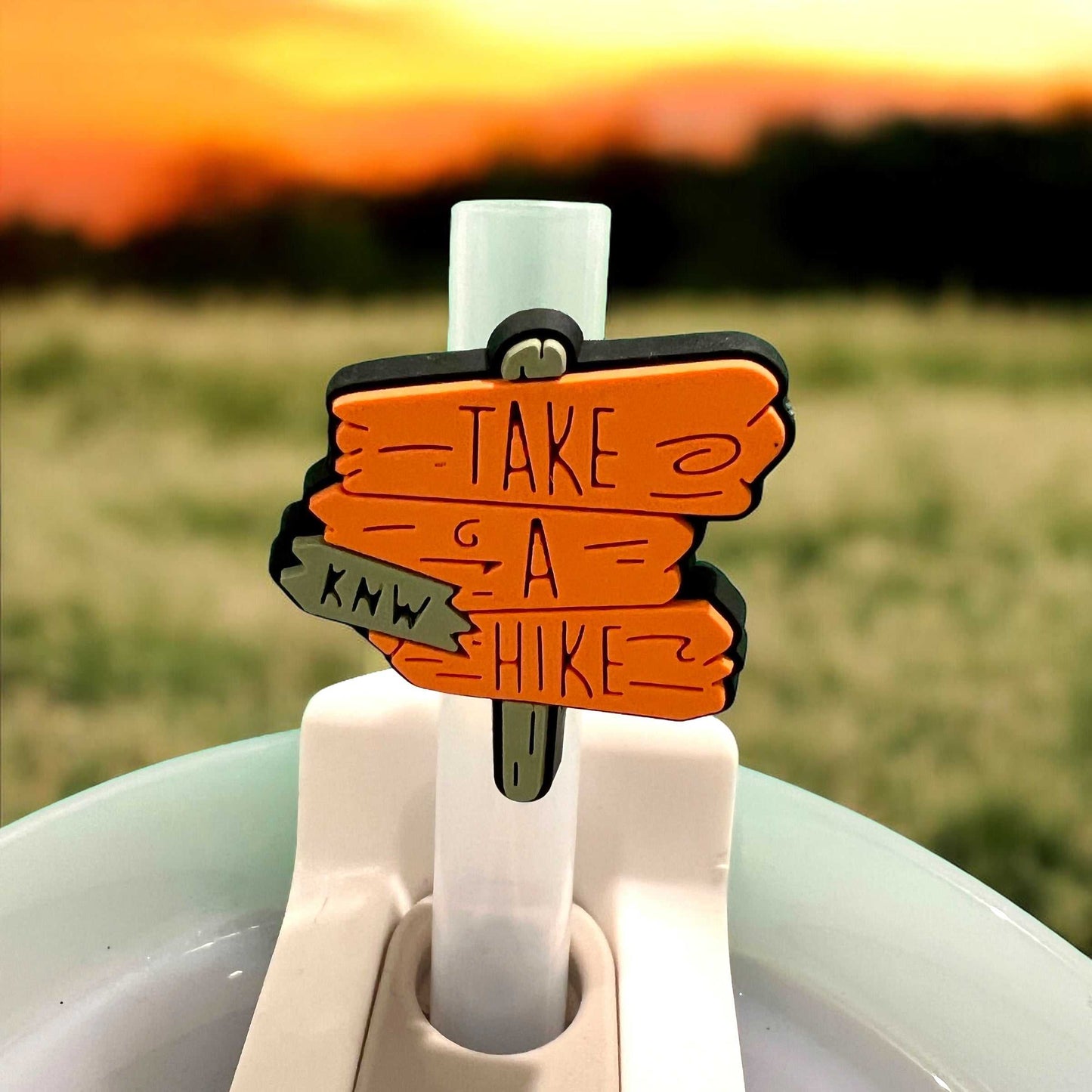 Take a Hike Camping Tumbler Straw Slider Topper